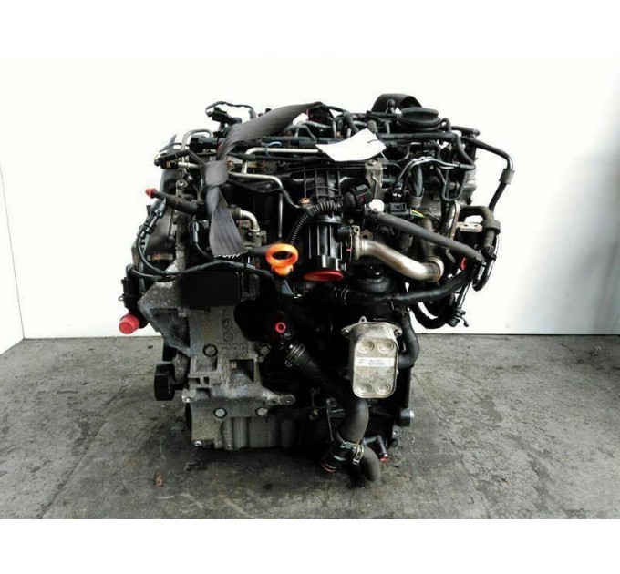 Двигатель  Volkswagen   CADDY III 1.6 TDI CAYD