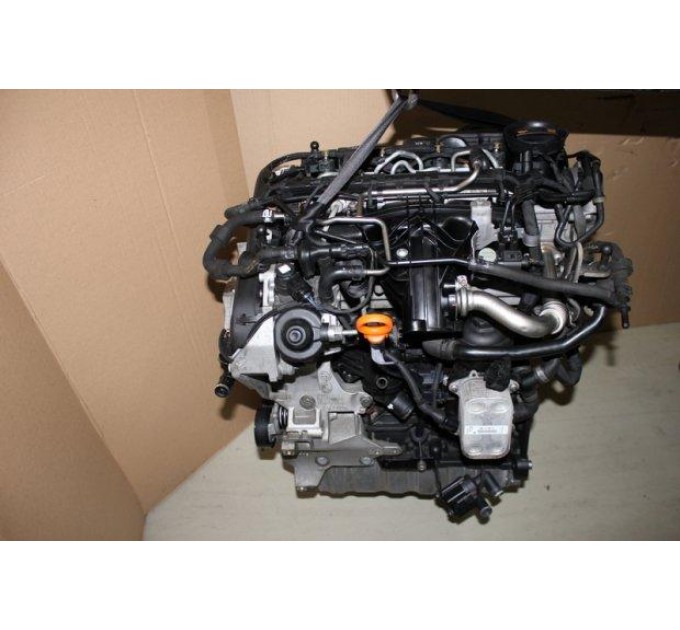 Двигатель  Volkswagen   CADDY III 2.0 TDI 16V 4motion  CFHC